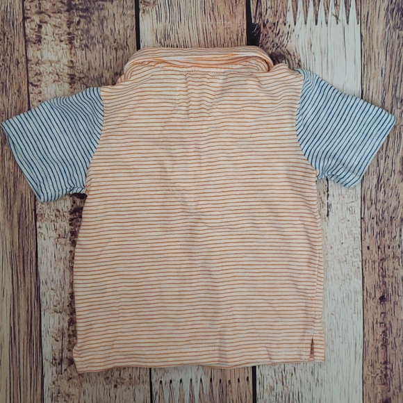 Striped Polo - Picture 6 of 6